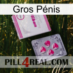 Gros Pénis 32